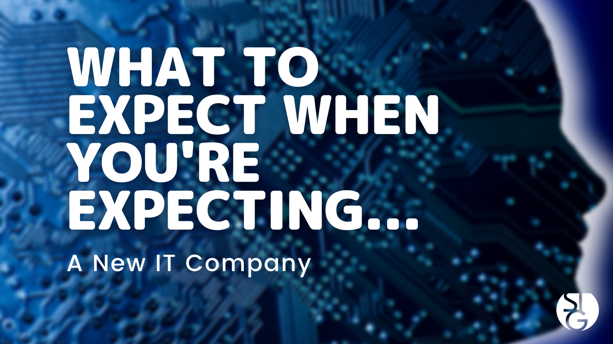 What to Expect When You're Expecting... A New IT Company