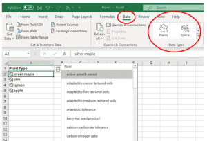 Data-Types-in-Excel